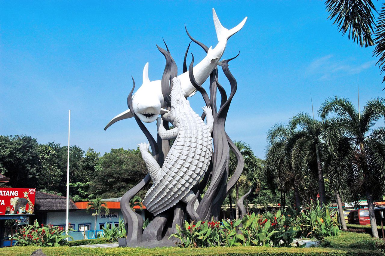 Travel Cilacap Surabaya